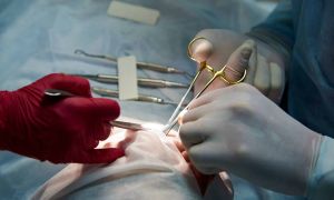 surgery in a dental clinic 2021 09 02 02 46 55 utc scaled 0c48dfa3