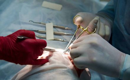 surgery in a dental clinic 2021 09 02 02 46 55 utc scaled 792403bd