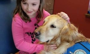 cachorro dentista b077304c