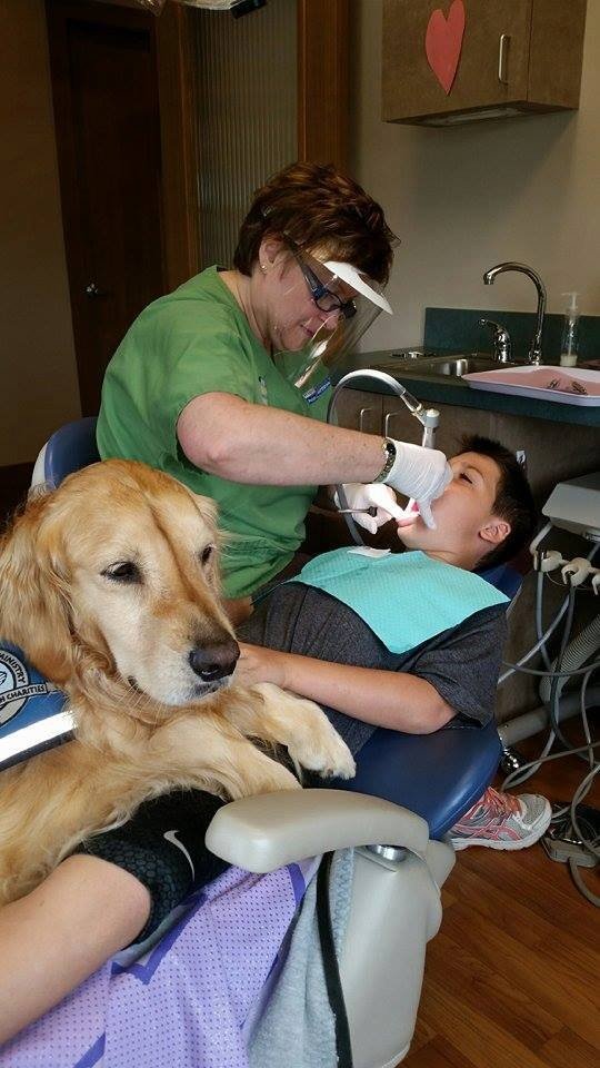 cachorro dentista